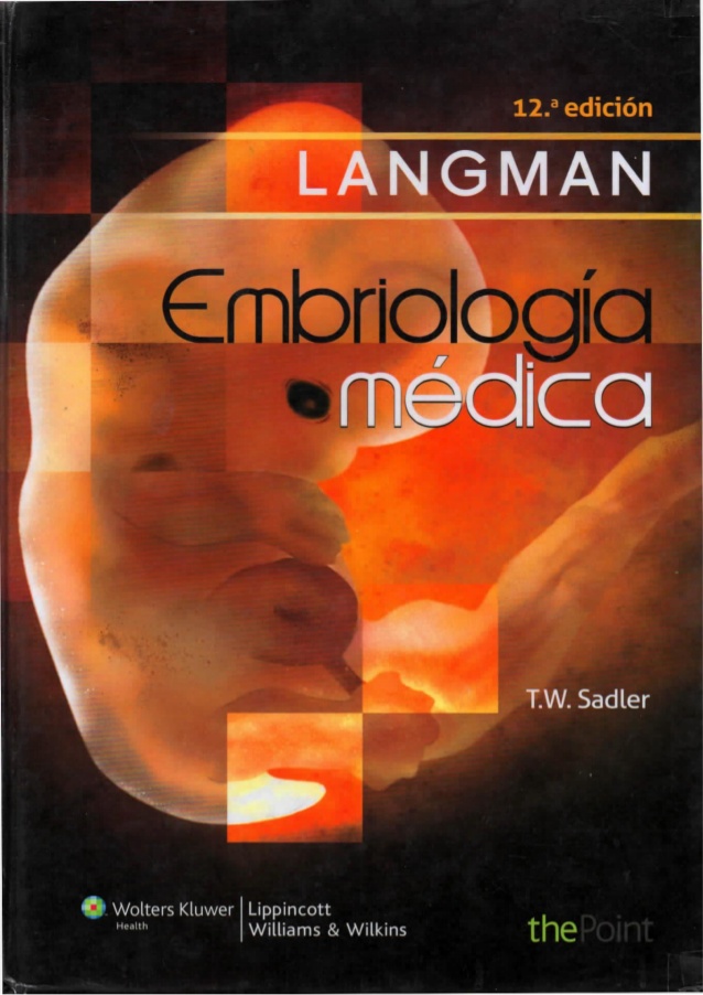 embriologia de langman pdf